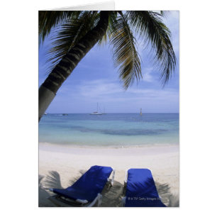 Playa, Silla, Palmera, Horizonte