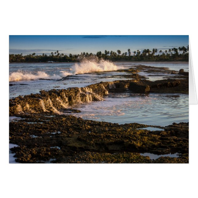 Playa Tabuba: Rompiendo Olas En Los Arrecifes (Anverso (Horizontal))