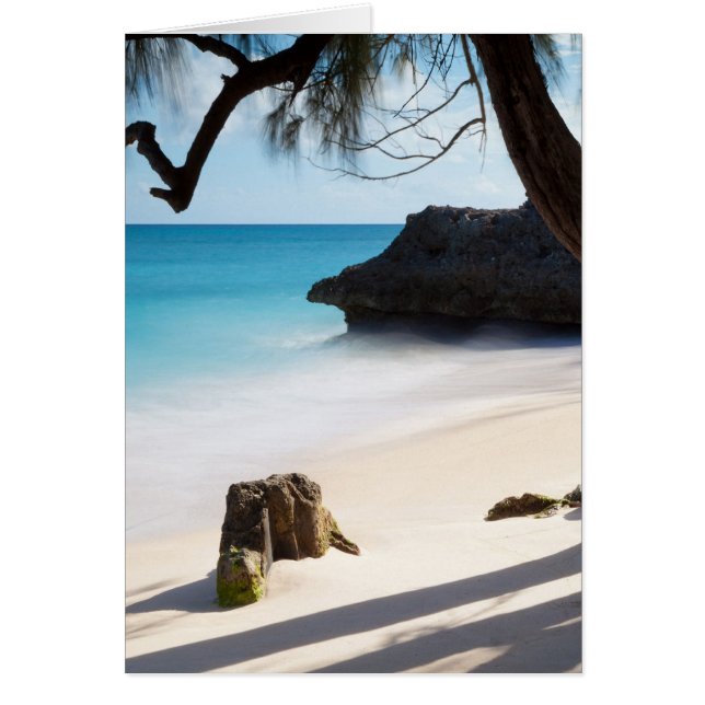 Playa Tropical (Frente)