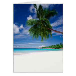 Playa tropical el   Seychelles