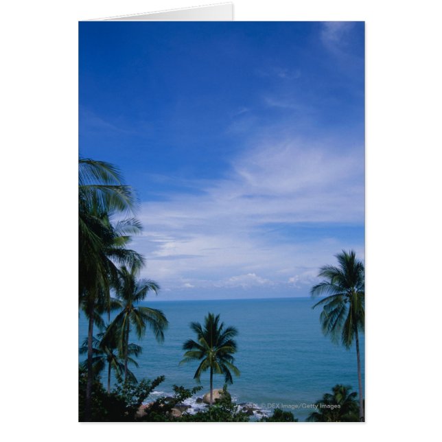 Playa vibrante (Frente)