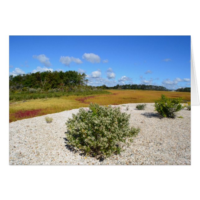 Playa y Marsh Notecard (Anverso (Horizontal))