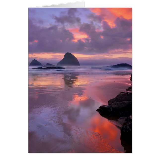 playa y montones de mar de Oregón, puesta de sol (Frente)