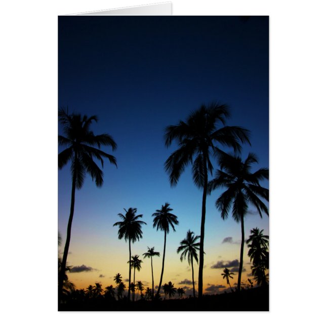 Playa Y Pueblo Costero | Praia Do Forte (Frente)