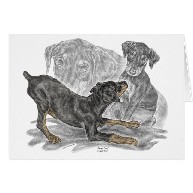 Playas Doberman Pinscher (Anverso (Horizontal))