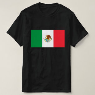 Playera para hombre Mexico Pride #3
