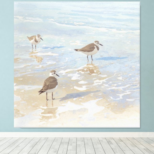 Playeros de Arte Costero en la Playa  (Insitu (piso de madera))