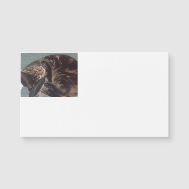 Playful Dave Magnetic Business Cards (25 Pack) (Anverso)