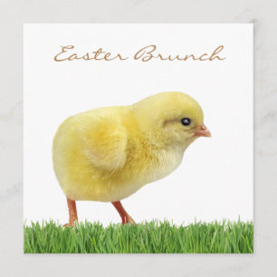Plaza de brunch de 5,25" x 5,25" invitaciones