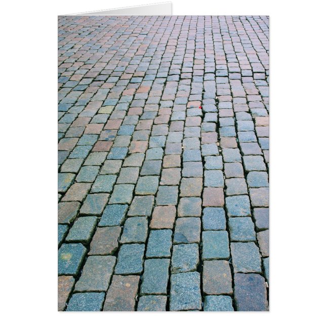 Plaza de ladrillos en la Grand Place - Bruselas, B (Frente)