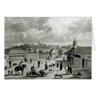 Plaza de San Carlos de Chiloe, 1835 ]