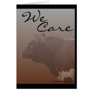 PLB--personalizar-cualquier ocasión