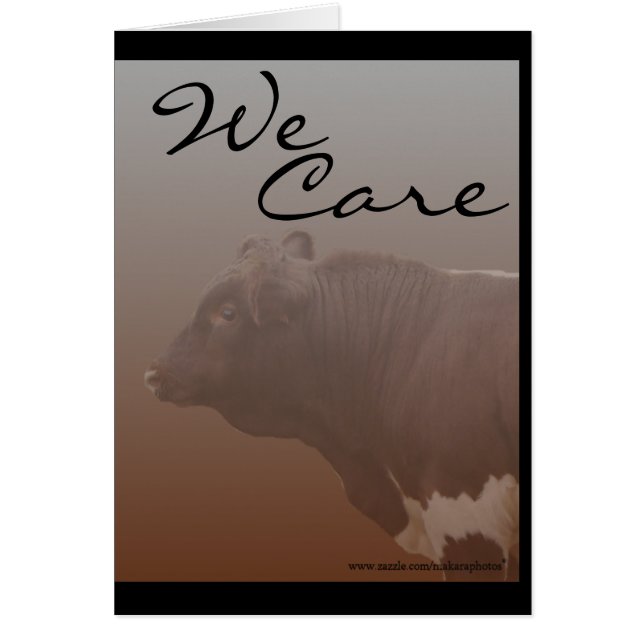 PLB--personalizar-cualquier ocasión (Frente)