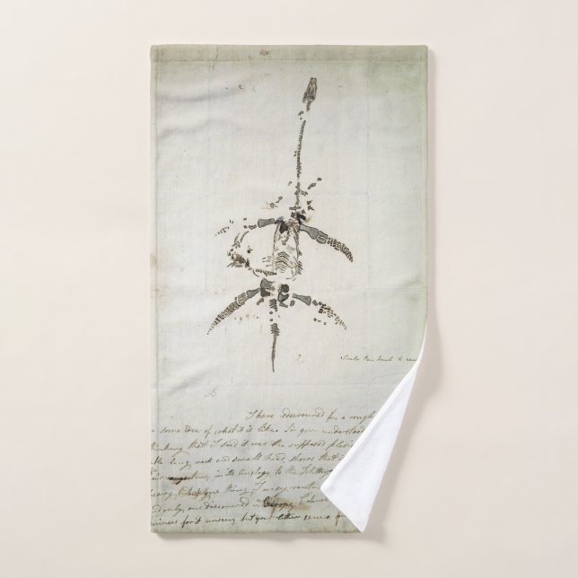 Plesiosaurus dolichodeirus (Toalla de mano)