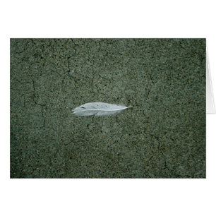 Pluma