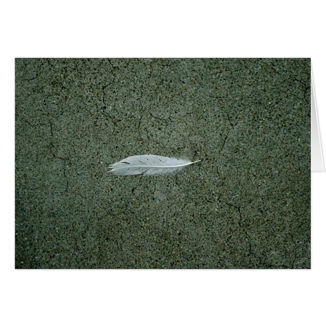 Pluma (Anverso (Horizontal))
