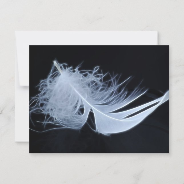 Pluma blanca - angélica por naturaleza (Anverso)