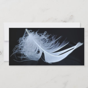 Pluma blanca - angélica por naturaleza