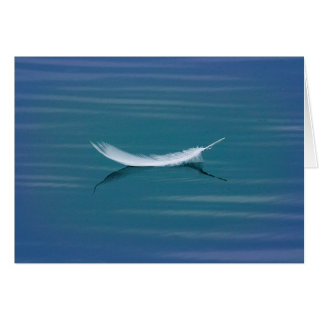 Pluma blanca en el agua (Anverso (Horizontal))
