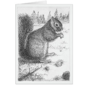Pluma de la ardilla y ilustracion de la tinta