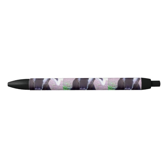 Pluma de la cabra del bebé (Anverso)
