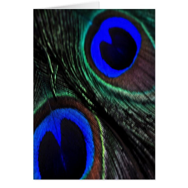 Pluma de pavo real (Frente)