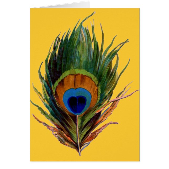 Pluma de pavo real antigua (Frente)