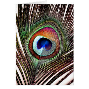 Pluma de pavo real de cobre colorida