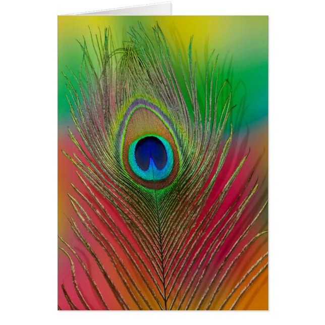 Pluma de pavo real en primer plano (Frente)