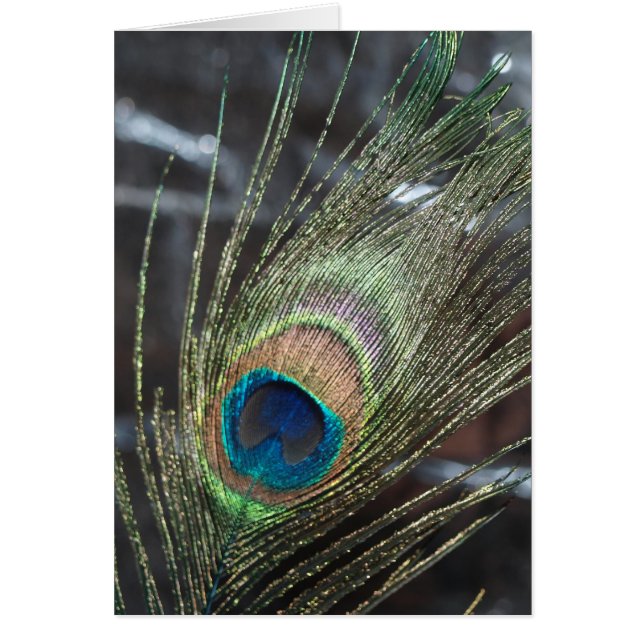 Pluma de pavo real metálica (Frente)