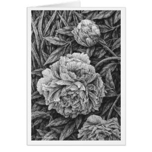 Pluma de tres Peonies y tarjeta de dibujo de la