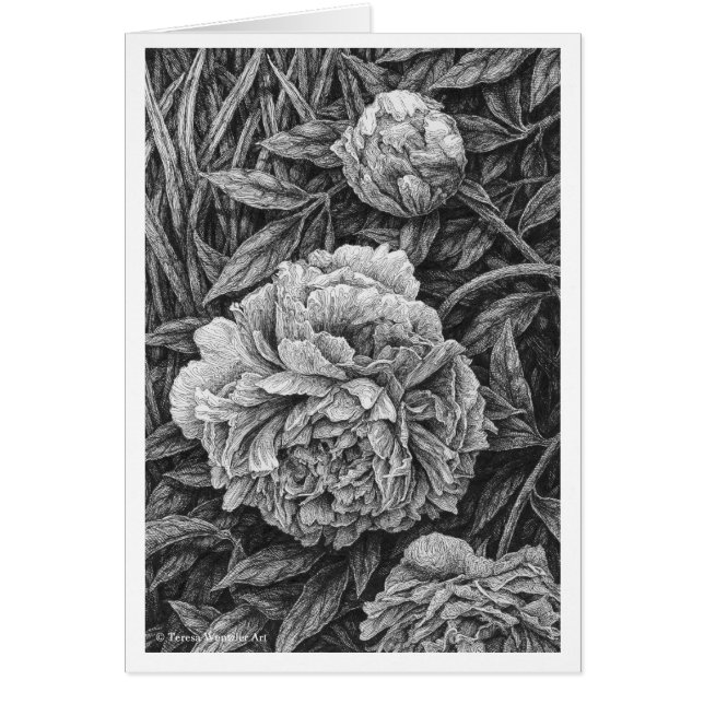 Pluma de tres Peonies y tarjeta de dibujo de la (Frente)