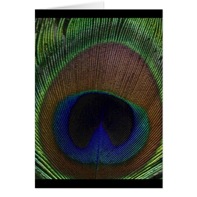 Pluma del pavo real (Frente)