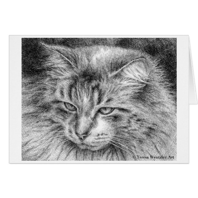 Pluma del retrato del gato y tarjeta de dibujo (Anverso (Horizontal))