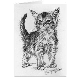 Pluma y tinta abisinias del gatito