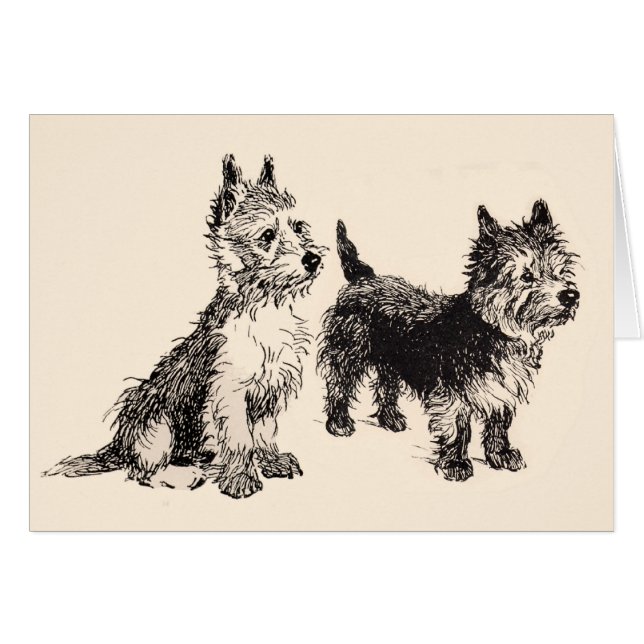 Pluma y tinta de la época de Cairn Terriers (Anverso (Horizontal))