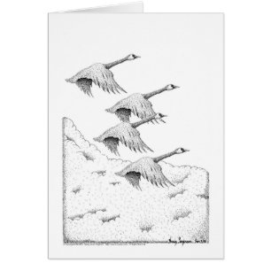 Pluma y tinta de los gansos de Canadá