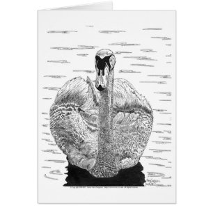 Pluma y tinta del cisne