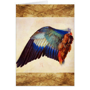 PLUMAS DE ALA DE UN ROLLER EUROPEO