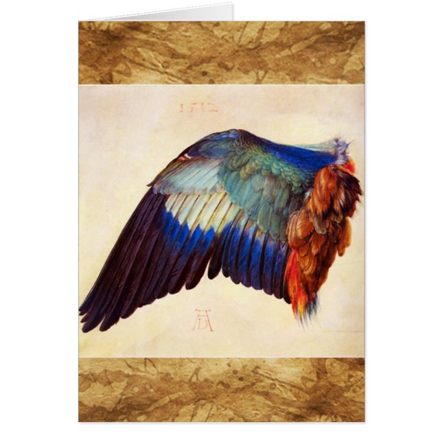 PLUMAS DE ALA DE UN ROLLER EUROPEO (Frente)