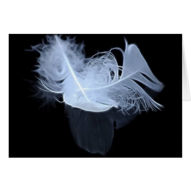 Plumas de llama gemela y reflexión (Anverso (Horizontal))