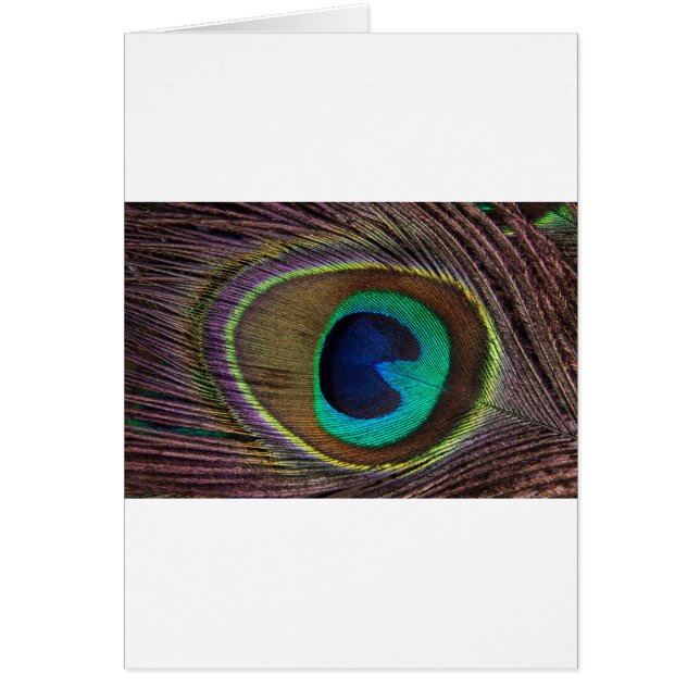 plumas de pavo real (Frente)