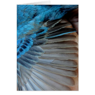 plumas de racimo índigo