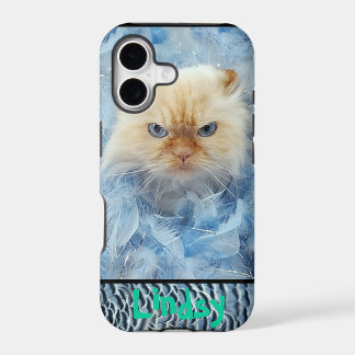 Plumas del gato del gatito