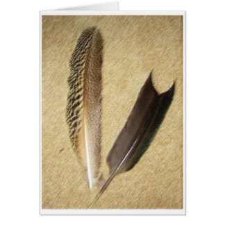 Plumas del halcón