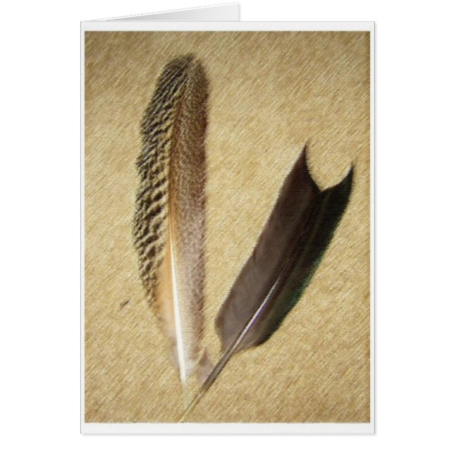 Plumas del halcón (Frente)