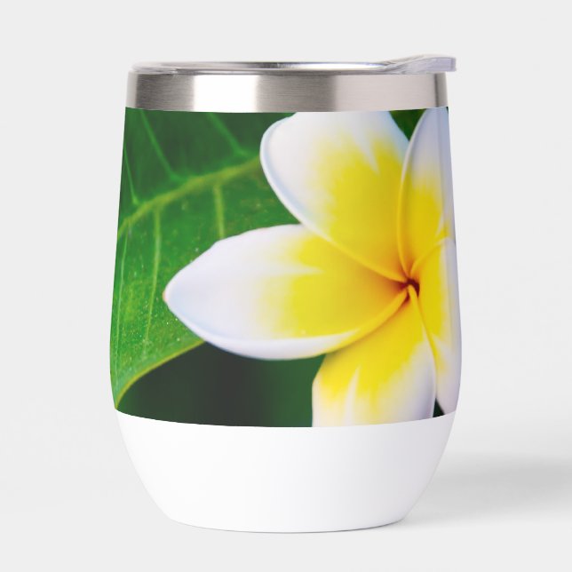 plumeria (Izquierdo)