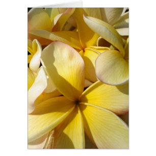Plumeria amarillo hawaiano