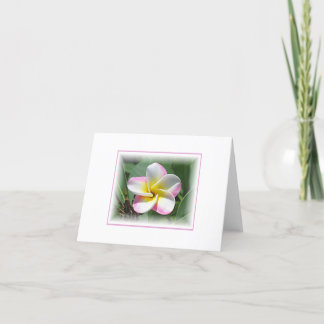 Plumeria en tarjeta de nota de la luz del sol
