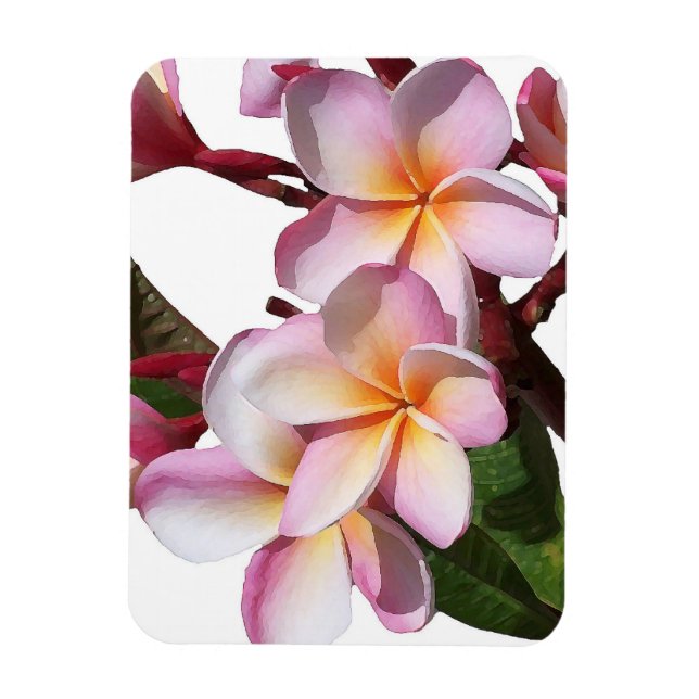 Plumeria Flores Imán Premium (Vertical)
